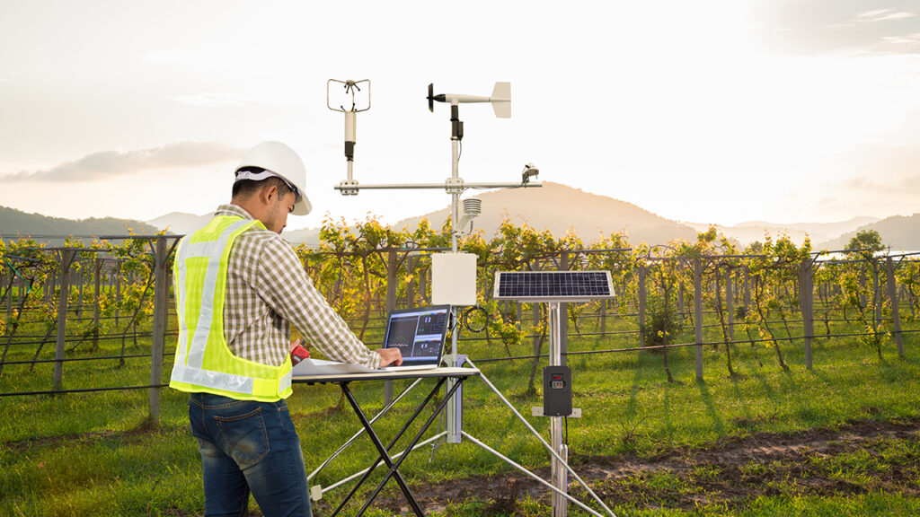 Agronomist using tablet computer collect data with meteorological instrument to measure the wind speed, temperature and humidity and solar cell system in grape agricultural field, Smart farm concept